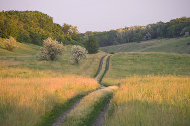 Similar image 689107