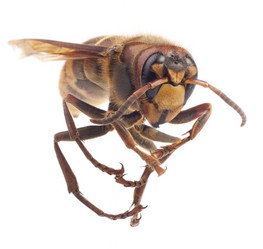 Similar image 689112