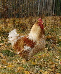 Similar image 689116