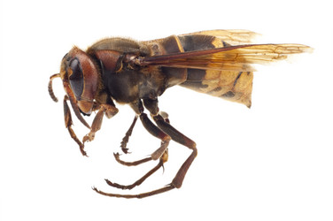 Similar image 689117