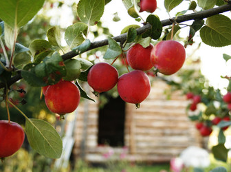 Similar image 689118