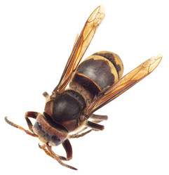 Similar image 689119