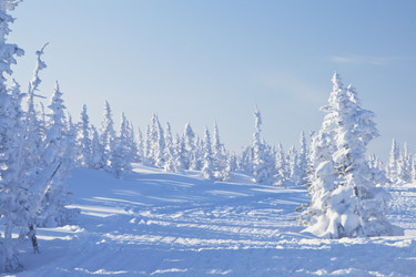 Similar image 689135