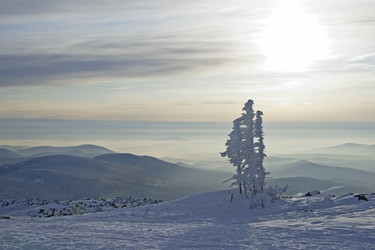 Similar image 689136