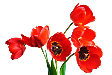 Similar image 689188