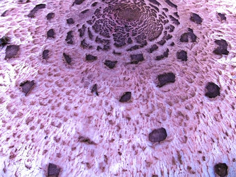 Similar image 689202