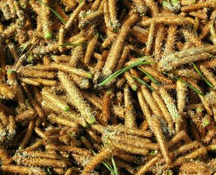 Similar image 689205