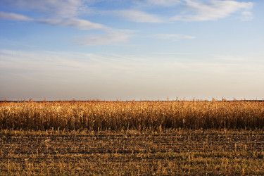 Similar image 689213