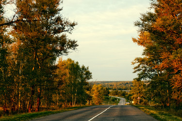 Similar image 689222