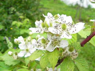 Similar image 689226