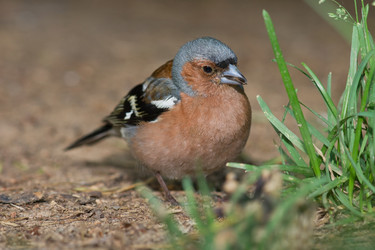 Similar image 689239