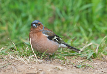 Similar image 689242