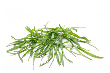 Similar image 689254