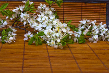 Similar image 689255