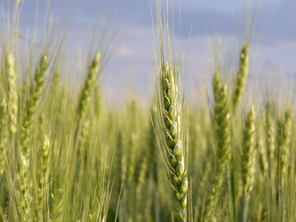 Similar image 689321