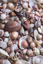 Similar image 689344