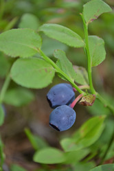 Similar image 689354