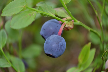 Similar image 689355