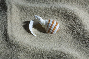 Similar image 689357