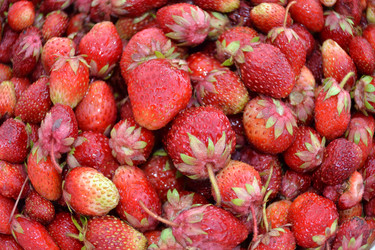 Similar image 689358