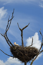 Similar image 689361