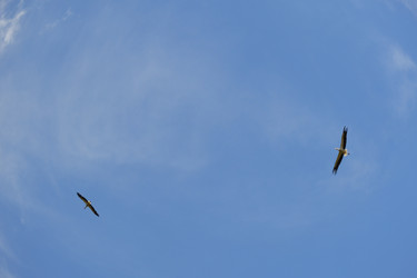 Similar image 689362