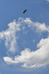 Similar image 689365