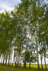 Similar image 689370