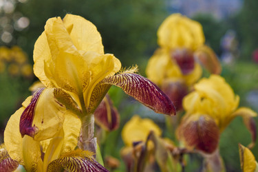 Similar image 689372