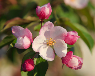 Similar image 689376