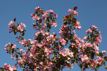 Similar image 689377