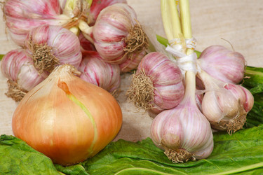 Similar image 689394