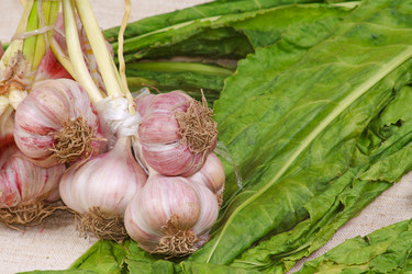 Similar image 689398