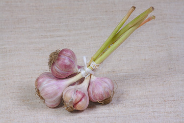 Similar image 689401