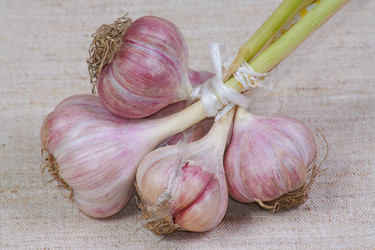 Similar image 689402