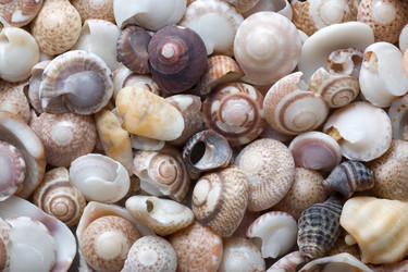 Similar image 689420