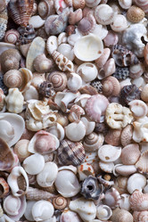 Similar image 689421