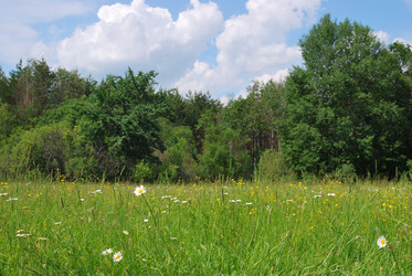 Similar image 689526