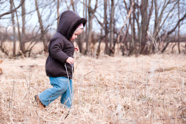 Similar image 689529