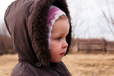 Similar image 689530