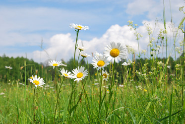 Similar image 689531