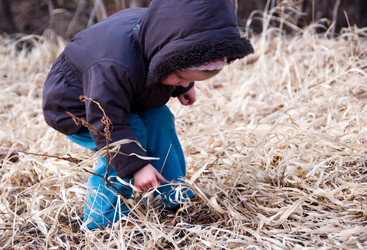 Similar image 689533