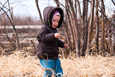 Similar image 689534