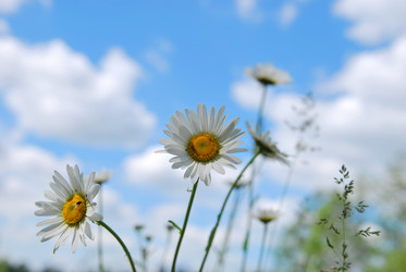 Similar image 689535