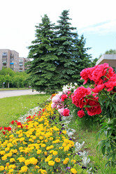 Similar image 689537