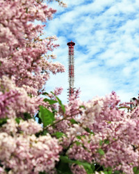 Similar image 689539