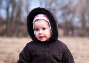 Similar image 689557