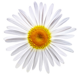 Similar image 689559