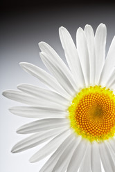 Similar image 689560