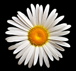 Similar image 689561